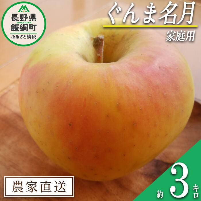 【ふるさと納税】 りんご いいづな産 ぐんま名月 家庭用 3kg 大友農場 エコファーマー認定 沖縄県への配送不可 令和7年度収穫分 長野県 飯綱町 【 信州 果物 フルーツ リンゴ 林檎 長野 予約 農家直送 】発送時期：2025年11月上旬～2025年11月末 {**}