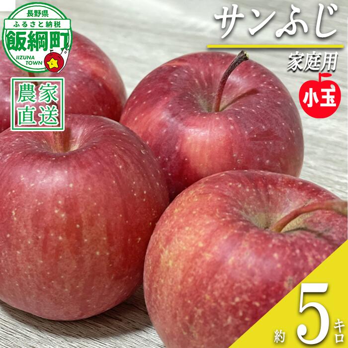 【ふるさと納税】【令和7年度収穫分】小ささに訳あり サンふじ（小玉）家庭用5kg　※沖縄県への配送不可　※2025年12月中旬頃から順次発送予定　大友農場　エコファーマー認定　長野県飯綱町
