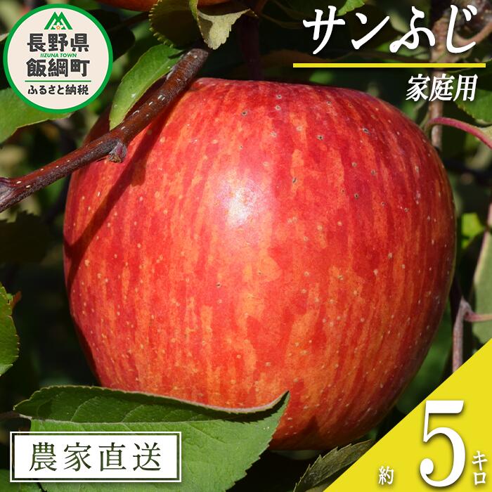 【ふるさと納税】 りんご サンふじ 家庭用 5kg マルカズりんご農園 沖縄県への配送不可 令和7年度収穫分 長野県 飯綱町 〔 信州 果物 フルーツ リンゴ 林檎 長野 14000円 予約 農家直送 〕発送時期：2025年11月下旬～2025年12月下旬