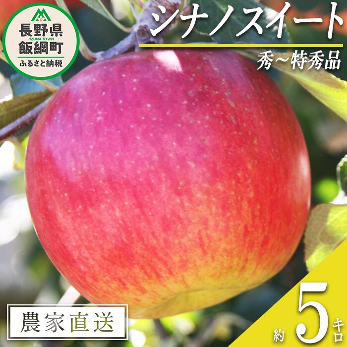 【ふるさと納税】 りんご シナノスイート 秀 ～ 特秀 5kg マルカズりんご農園 沖縄県への配送不可 令和8年度収穫分 長野県 飯綱町 〔 信州 果物 フルーツ リンゴ 林檎 長野 18000円 予約 農家直送 〕発送時期：2026年10月中旬～2026年11月上旬