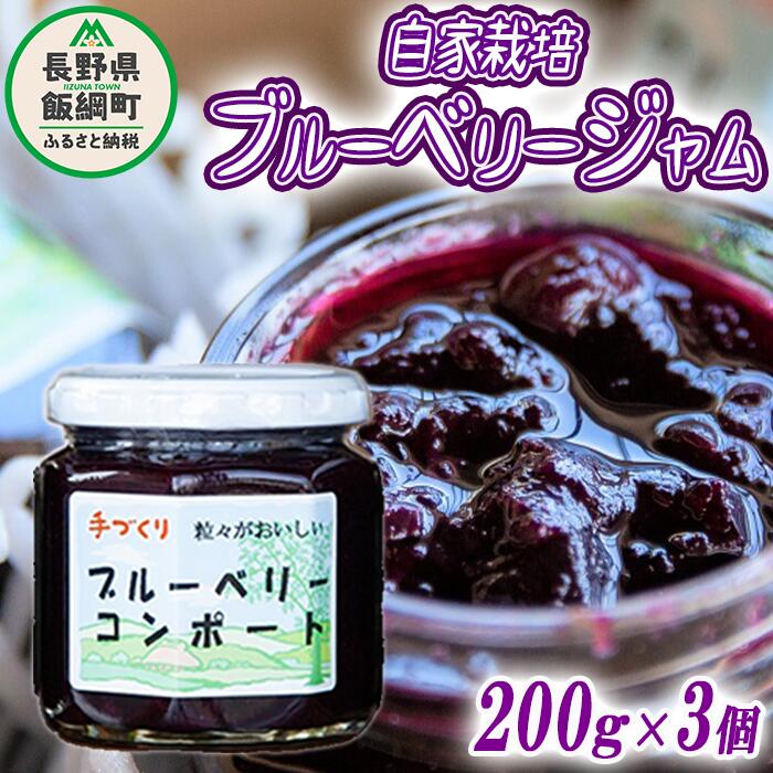 【ふるさと納税】 信州産 ブルーベリージャム （ プレザーブ スタイル ） 200g × 3個 沖縄県への配送不可 エコファーマー認定 関農園 長野県 飯綱町 〔 飯綱町産 信州 ブルーベリー ジャム コンポート 果実 フルーツ 13000円 〕