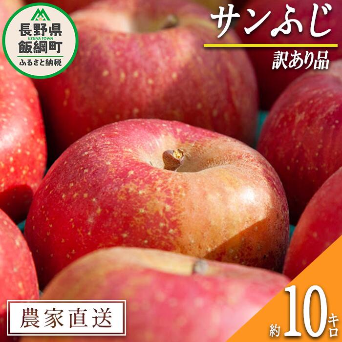 【ふるさと納税】 りんご サンふじ 訳あり 10kg 関農園 エコファーマー認定 令和8年度収穫分 長野県 飯綱町 〔 傷 不揃い リンゴ 林檎 果物 フルーツ 信州 長野 予約 農家直送 〕発送時期：2026年12月上旬～2026年12月下旬