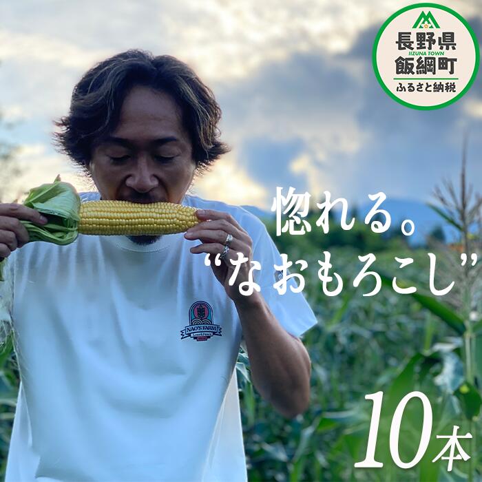 【ふるさと納税】 生で食べられる とうもろこし 10本 株式会社みみずや 令和8年度収穫分 長野県 飯綱町 〔 信州 野菜 甘い トウモロコシ コーン とうきび 産地直送 長野 予約 石川直宏 〕発送時期：2026年7月下旬～2026年8月中旬｜長野県飯綱町