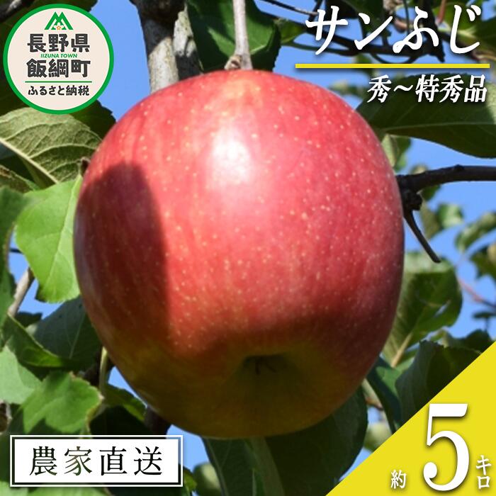 【ふるさと納税】 りんご サンふじ 秀 ～ 特秀 5kg 大垣農園 沖縄県への配送不可 令和7年度収穫分 長野県 飯綱町 〔 信州 果物 フルーツ リンゴ 林檎 長野 16000円 予約 農家直送 〕発送時期：2025年11月下旬～2025年12月下旬 {***}