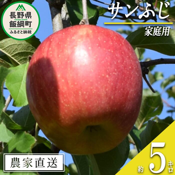 【ふるさと納税】 りんご サンふじ 家庭用 5kg 大垣農園 沖縄県への配送不可 令和7年度収穫分 長野県 飯綱町 〔 信州 果物 フルーツ リンゴ 林檎 長野 12000円 予約 農家直送 〕発送時期：2025年11月下旬～2025年12月下旬 {**}