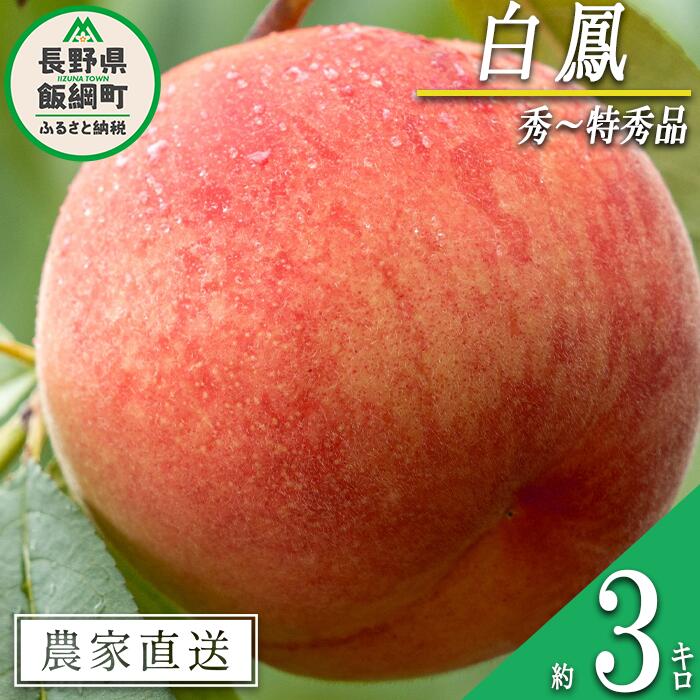【ふるさと納税】 もも 白鳳 秀 ～ 特秀 約 3kg 大垣農園 配送先は本州限定 令和7年度収穫分 長野県 飯綱町 〔 信州 果物 フルーツ モモ 桃 はくほう 長野 17000円 予約 農家直送 〕発送時期：2025年8月上旬～2025年8月中旬