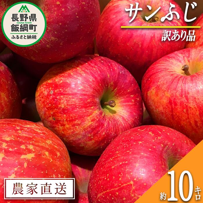 【ふるさと納税】 りんご サンふじ 訳あり 10kg 大垣農園 沖縄県への配送不可 令和7年度収穫分 長野県 飯綱町 〔 傷 不揃い リンゴ 林檎 果物 フルーツ 信州 長野 17000円 予約 農家直送 〕発送時期：2025年11月下旬～2025年12月下旬 {*}