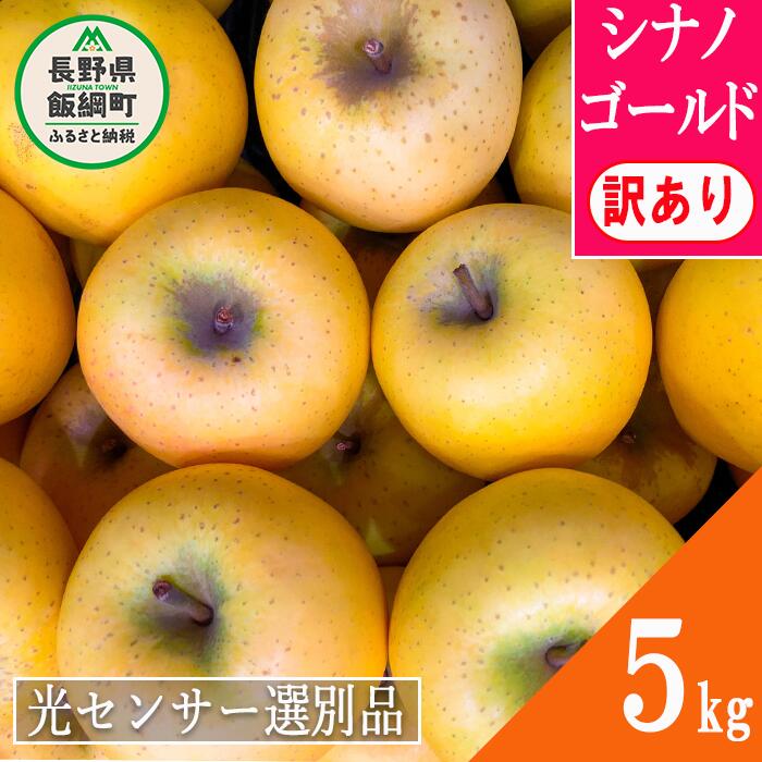 最大86%OFFクーポン りんご 訳あり シナノゴールド 5kg 長野県産 光センサー