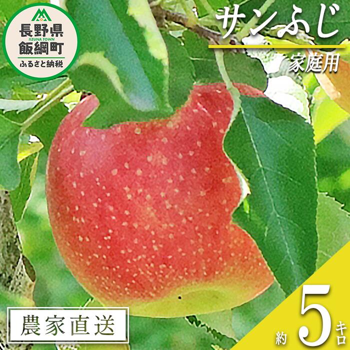 【ふるさと納税】 りんご サンふじ 家庭用 5kg 永正の地蔵尊神谷農園 沖縄県への配送不可 令和7年度収穫分 長野県 飯綱町 〔 信州 果物 フルーツ リンゴ 林檎 長野 13000円 予約 農家直送 〕発送時期：2025年12月中旬～2026年3月上旬 {**}