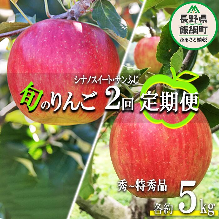 【ふるさと納税】 旬のりんご 【 定期便 】 秀 ～ 特秀 5kg × 2回 永正の地蔵尊神谷農園 沖縄県への配送不可 令和7年度収穫分 長野県 飯綱町 〔 信州 果物 フルーツ リンゴ 林檎 長野  予約 農家直送 〕発送期間：2025年10月上旬～12月中旬 {***}