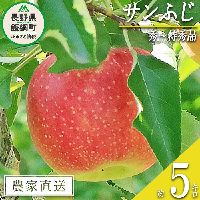 【ふるさと納税】 りんご サンふじ 秀 ～ 特秀 5kg 永正の地蔵尊神谷農園 沖縄県への配送不可 令和7年度収穫分 長野県 飯綱町 〔 信州 果物 フルーツ リンゴ 林檎 長野 16000円 予約 農家直送 〕発送時期：2025年12月上旬～2026年2月上旬 {***}