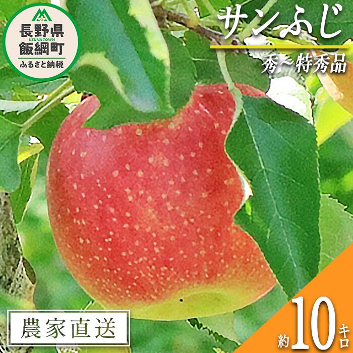 【ふるさと納税】 りんご サンふじ 秀 ～ 特秀 10kg 永正の地蔵尊神谷農園 令和7年度収穫分 長野県 飯綱町 〔 信州 果物 フルーツ リンゴ 林檎 長野 27000円 予約 農家直送 〕発送時期：2025年12月上旬～2026年2月上旬 {***}
