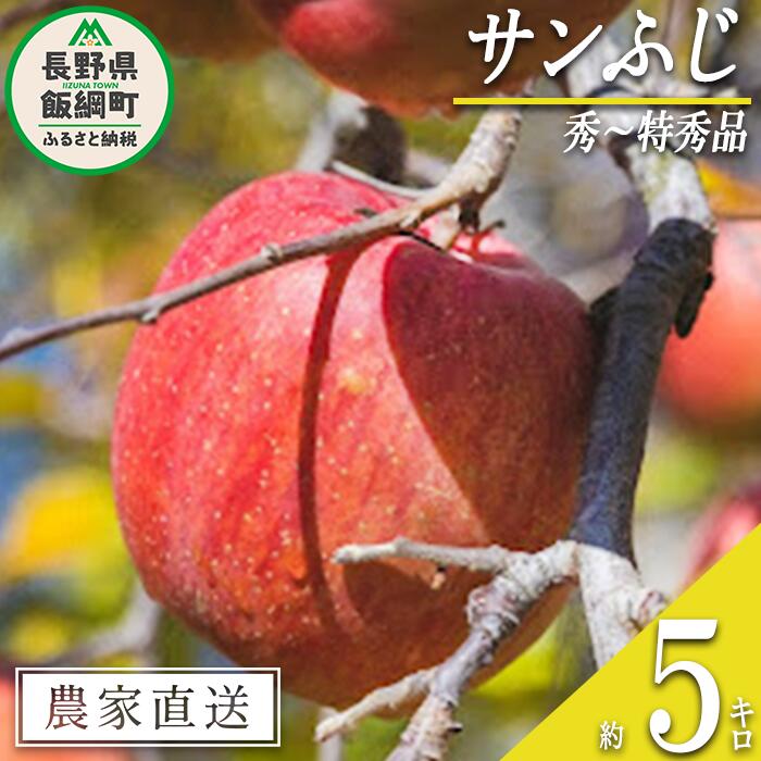 【ふるさと納税】 りんご サンふじ 秀 ～ 特秀 5kg 丸山功農園 沖縄県への配送不可 令和7年度収穫分 長野県 飯綱町 〔 信州 果物 フルーツ リンゴ 林檎 長野 16000円 予約 農家直送 〕発送時期：2025年11月中旬～2025年12月上旬 {***}