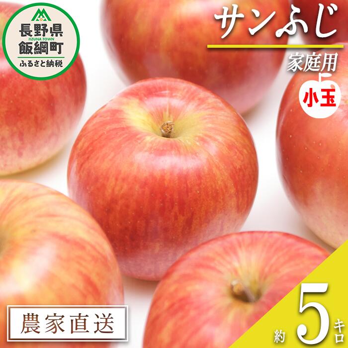 【ふるさと納税】 りんご サンふじ 家庭用 ( 小玉 ) 5kg 丸山功農園 沖縄県への配送不可 令和7年度収穫分 長野県 飯綱町 〔 信州 果物 フルーツ リンゴ 林檎 長野 11000円 予約 農家直送 〕発送時期：2025年11月中旬～2025年12月中旬 {**}