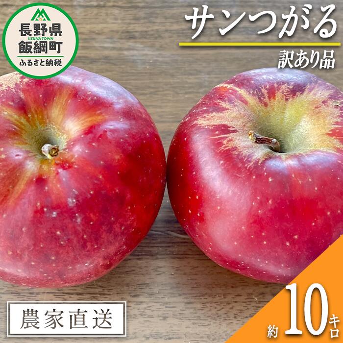 【ふるさと納税】 りんご サンつがる 訳あり 10kg 沖縄県への配送不可 令和7年度収穫分 宮本ファーム エコファーマー 減農薬栽培 長野県 飯綱町 〔 リンゴ 林檎 果物 フルーツ 信州 長野 16000円 〕発送期間：2025年9月上旬～2025年9月下旬