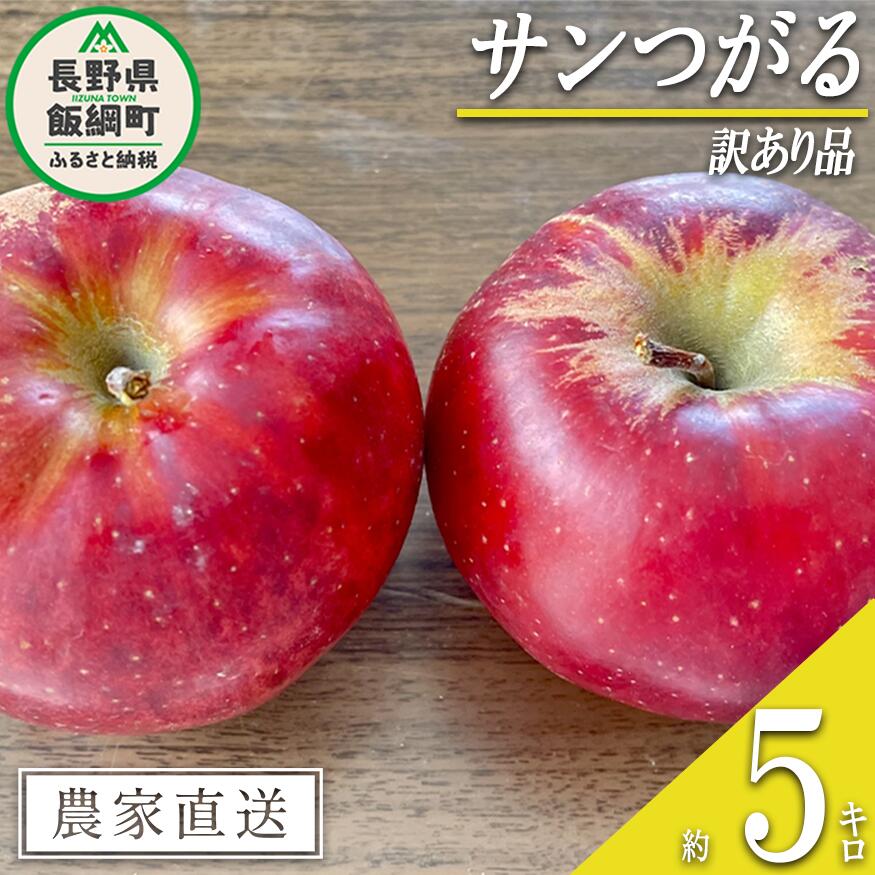 【ふるさと納税】りんご つがる 5kg 訳あり 宮本ファーム 沖縄へは配送不可 〔 果物 フルーツ 林檎 長野 予約 農家直送 不揃い 規格外 5キロ 11000円 〕【令和7年度収穫分】 発送：2025年9月上旬～
