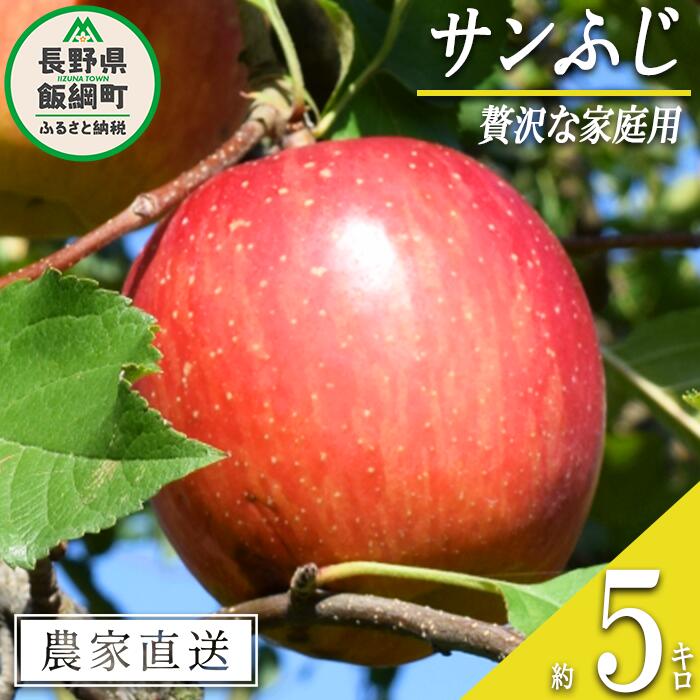 【ふるさと納税】 りんご サンふじ 贅沢な 家庭用 5kg 庚申山荘ファーム 沖縄県への配送不可 令和7年度収穫分 長野県 飯綱町 〔 信州 果物 フルーツ リンゴ 林檎 長野 17000円 予約 農家直送 〕発送時期：2025年11月中旬～2025年12月上旬{**}