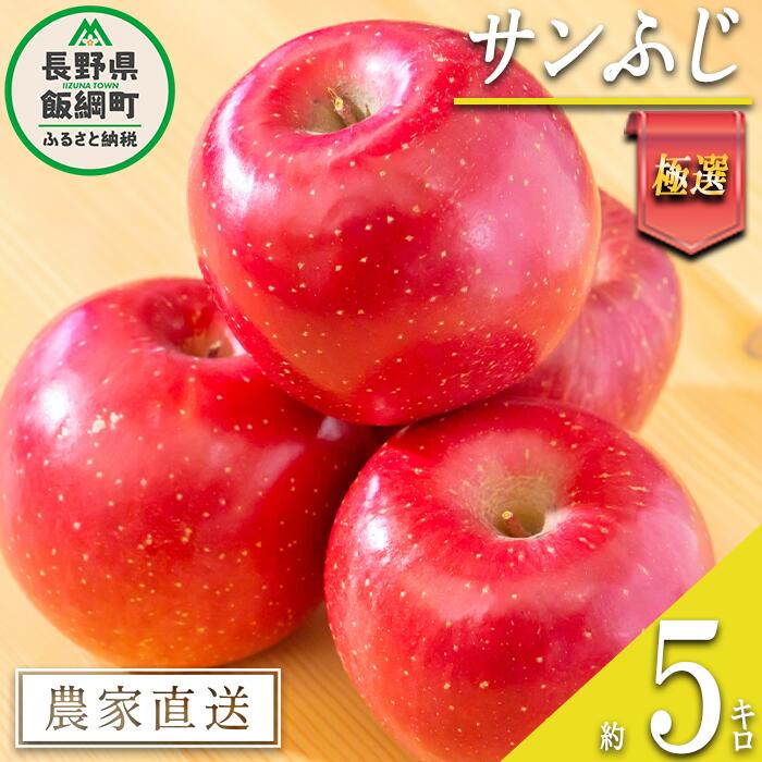 【ふるさと納税】 りんご サンふじ 極選 5kg マルハ農園 令和7年度収穫分 エコファーマー認定 長野県 飯綱町 〔 信州 果物 フルーツ リンゴ 林檎 長野 22000円 予約 農家直送 〕発送時期：2025年12月上旬～2025年12月下旬