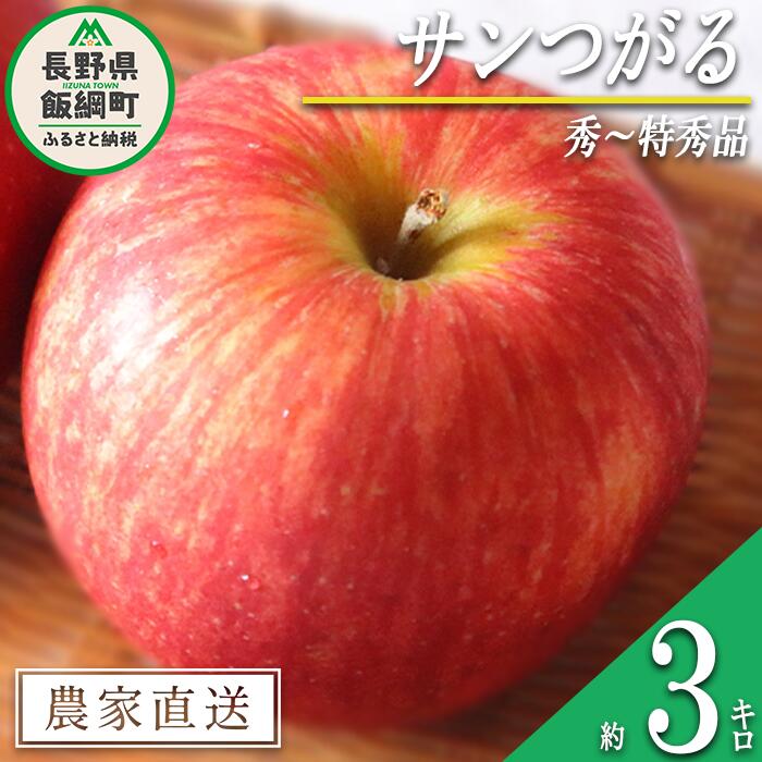 【ふるさと納税】 りんご サンつがる 秀 ~ 特秀 3kg マルハ農園 沖縄県への配送不可 令和8年度収穫分 エコファーマー認定 長野県 飯綱町 〔 信州 果物 フルーツ リンゴ 林檎 長野 12000円 予約 農家直送 〕発送時期:2026年9月上旬~2026年9月下旬