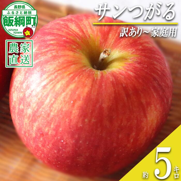 【ふるさと納税】 りんご サンつがる 訳あり ～ 家庭用 5kg マルハ農園 沖縄県への配送不可 令和8年度収穫分 エコファーマー認定 長野県 飯綱町 〔 信州 果物 フルーツ リンゴ 林檎 長野 13000円 予約 農家直送 〕発送時期：2026年9月上旬～2026年9月下旬 9,360円