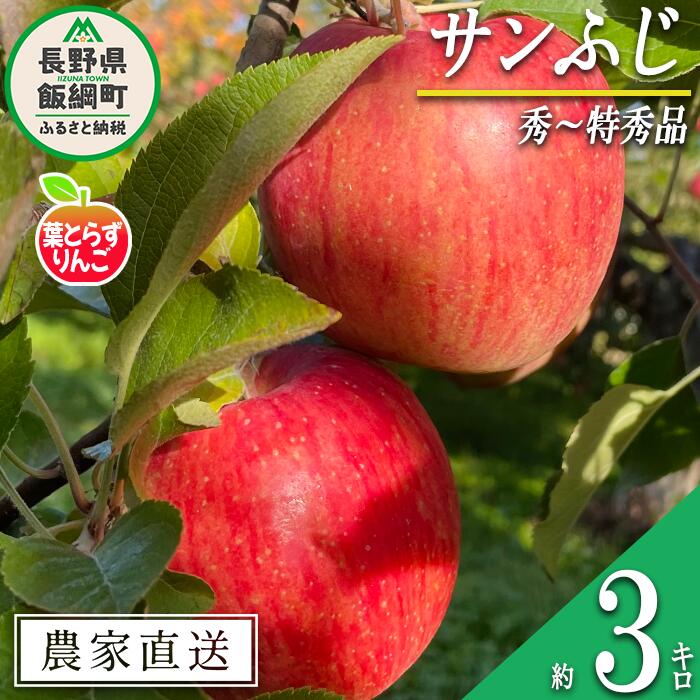【ふるさと納税】 りんご 葉とらず サンふじ 秀 ～ 特秀 3kg フレッシュフルーツミカズキ 沖縄県への配送不可 令和7年度収穫分 長野県 飯綱町 〔 信州 果物 フルーツ リンゴ 林檎 長野 19000円 予約 農家直送 〕発送時期：2025年11月下旬頃～2026年1月下旬頃 {***}