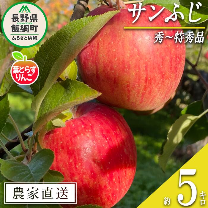 【ふるさと納税】 りんご 葉とらず サンふじ 秀 ～ 特秀 5kg フレッシュフルーツミカズキ 令和7年度収穫分 長野県 飯綱町 〔 信州 果物 フルーツ リンゴ 林檎 長野 予約 農家直送 〕発送時期：2025年11月下旬～2026年1月下旬 {***}