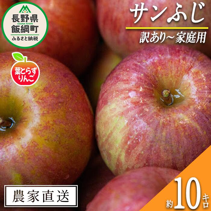 【ふるさと納税】 りんご 葉とらず サンふじ 訳あり～家庭用 10kg フレッシュフルーツミカズキ 令和7年度収穫分 長野県 飯綱町 〔 傷 不揃い リンゴ 林檎 果物 フルーツ 信州 長野 予約 農家直送 〕発送時期：2025年11月下旬～2026年1月下旬 {*}