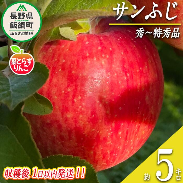 【ふるさと納税】 りんご 葉とらず サンふじ 秀 ~ 特秀 5kg 採れたてを発送 フレッシュフルーツミカズキ 令和8年度収穫分 長野県 飯綱町 〔 信州 果物 フルーツ リンゴ 長野 予約 農家直送 〕発送時期:2026年11月中旬頃~2026年11月下旬頃 {***}|長野県飯綱町