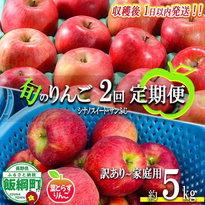 【ふるさと納税】 採れたてりんご 【 定期便 】 旬の2品種 5kg &times; 2回 訳あり ～ 家庭用 フレッシュフルーツ ミカズキ 沖縄県への配送不可 〔 果物 フルーツ 林檎 長野 予約 農家直送 5キロ 定期便 〕【令和8年度収穫分】 発送：2026年10月中旬～｜長野県飯綱町 29,250円