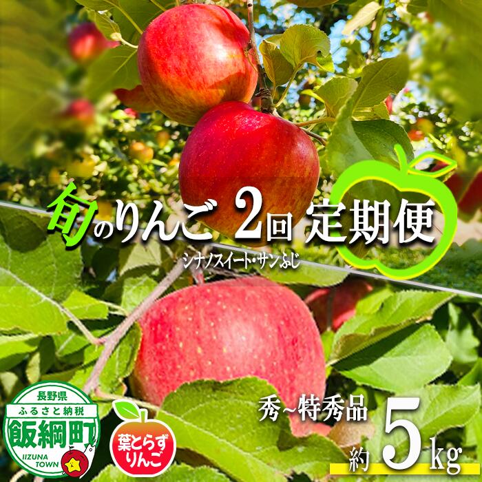 【ふるさと納税】 葉とらずりんご 【 定期便 】 旬の2品種 5kg &times; 2回 秀～特秀 フレッシュフルーツ ミカズキ 〔 果物 フルーツ 林檎 長野 予約 農家直送 贈答用 5キロ 定期便 〕【令和8年度収穫分】 発送：2026年10月中旬～｜長野県飯綱町