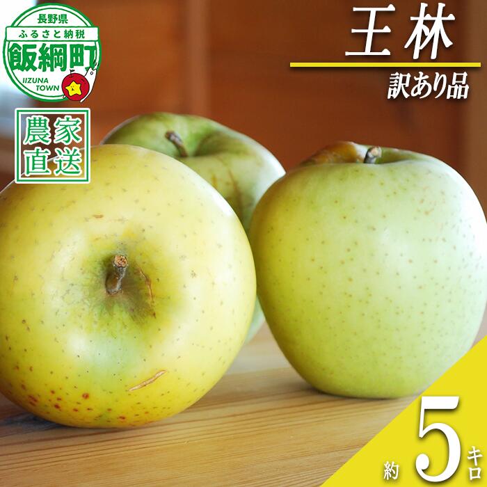 【ふるさと納税】 りんご 王林 5kg 訳あり アグリファーム小林 沖縄県への配送不可 〔 果物 フルーツ 林檎 長野 予約 農家直送 不揃い 規格外 5キロ 14000円 〕【令和8年度収穫分】 発送：2026年11月上旬～｜長野県飯綱町