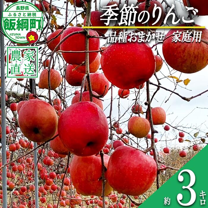【ふるさと納税】 りんご 季節のりんご 3kg 家庭用 Farm Grand Gift 沖縄県への配送不可 〔 果物 フルーツ 林檎 長野 予約 農家直送 3キロ 14000円 〕【令和8年度収穫分】 発送：2026年9月下旬～