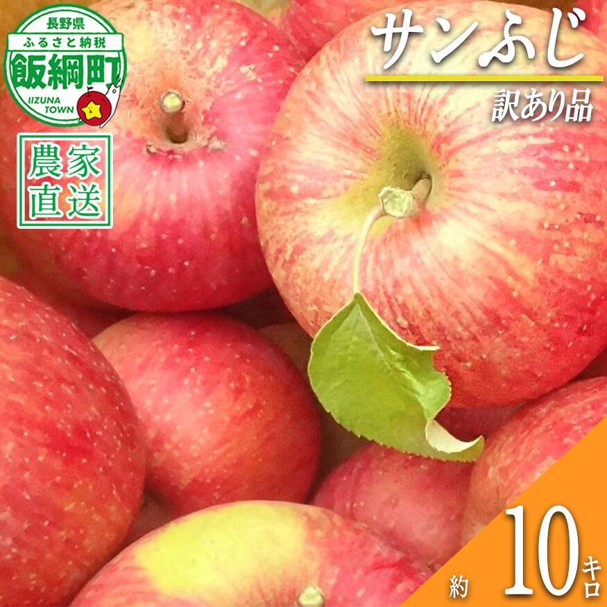 【ふるさと納税】 りんご サンふじ 10kg 訳あり 島田フルーツ農園 〔 果物 フルーツ 林檎 長野 予約 農家直送 不揃い 規格外 10キロ 〕【令和8年度収穫分】 発送：2026年12月上旬～