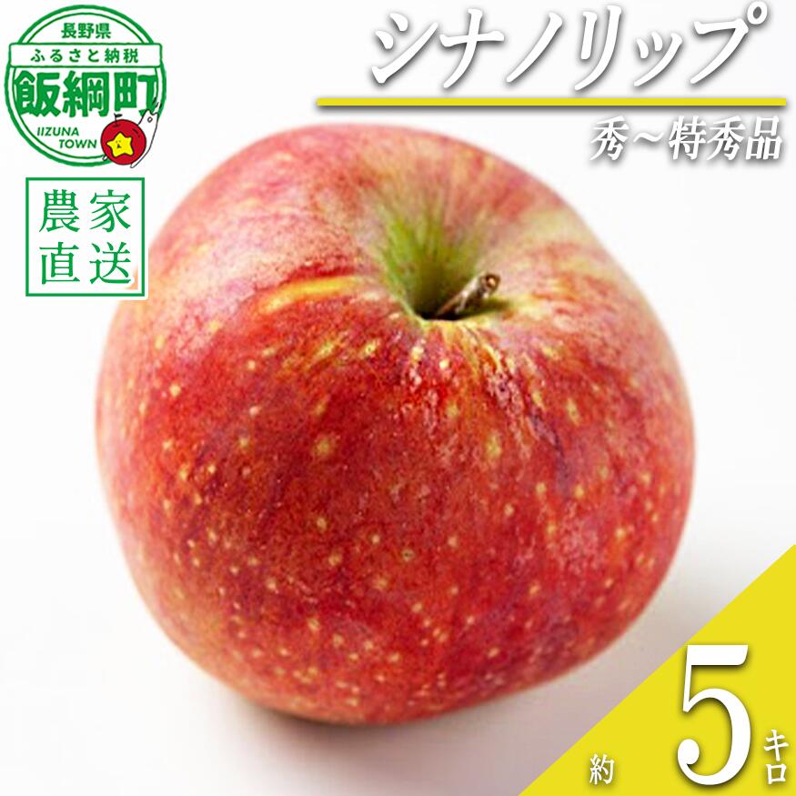 【ふるさと納税】 りんご シナノリップ 5kg 秀~特秀 関果樹園もりんご 沖縄県への配送不可 〔 果物 フルーツ 林檎 長野 予約 農家直送 贈答用 5キロ 16000円 〕【令和8年度収穫分】 発送:2026年8月中旬~