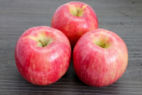 受賞店舗 楽天市場 ふるさと納税 先行予約 シナノドルチェ 秀 特秀 3kg サイズおまかせ 沖縄および離島への配送不可 町田さんちのりんご 長野県 飯綱町 飯綱町産 リンゴ りんご 林檎 果物 フルーツ 信州 長野 発送 21年10月上旬 長野県