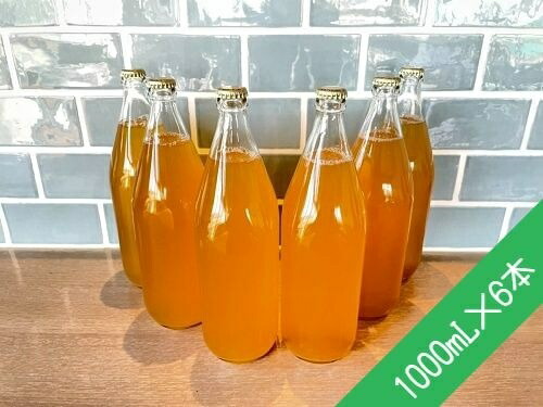 お歳暮 無添加 りんごジュース 1000ml 6本 沖縄および離島への配送不可 果汁100 信州 飯綱町 飲料 果汁飲料 りんご リンゴ 林檎 ジュース 長野県飯綱町 送料込 Faan Gov Ng