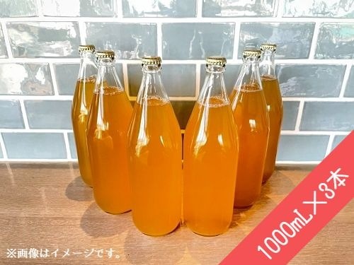 ふるさと納税 無添加 りんごジュース 1000ml 3本 沖縄および離島への配送不可 果汁100 信州 飯綱町 飲料 果汁飲料 りんご リンゴ 林檎 ジュース ふるさと納税 長野のりんご りんごジュース 飯綱町の豊かな自然が育んだ美味しいりんごをそのままジュースにしました