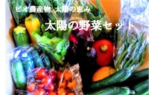 楽天市場 ふるさと納税 先行予約 太陽の野菜セット 沖縄および離島への配送不可 季節ごと旬の野菜 80サイズ段ボール1箱分 化学肥料 除草剤なし 野菜 詰め合わせ 野菜 セット 信州 長野 飯綱町 発送 21年6月 11月頃 長野県飯綱町