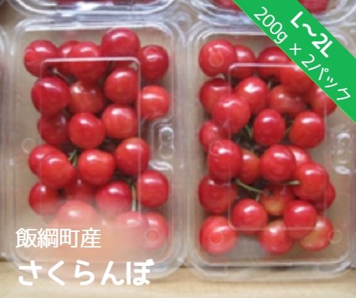 ふるさと納税 信州設定 さくらんぼ L 2l 号 0g 2小包 佐藤錦 重ねては 紅秀峰 送致先っちょは本州抑える 長野県 飯綱郷村 信州 サクランボウ チェリー 果物 フルーツ 急便 21一年6暦月下旬 Qsi Cert Com