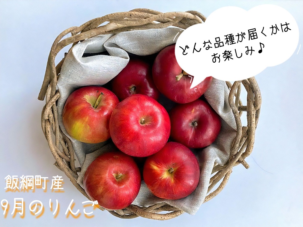 ふるさと納税 先行予約 飯綱町 農家応援企画 旬のりんご 9月 家庭用 3kg 配送先は本州限定 長野県 飯綱町産 リンゴ 林檎 りんご 果物 フルーツ 長野 信州 発送 21年9月 Fmcholollan Org Mx