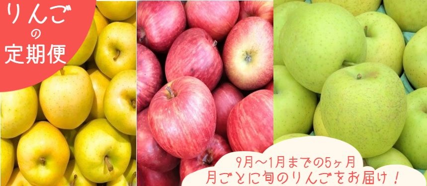 ふるさと納税 先行予約 飯綱町 農家応援企画 旬のりんご 定期便 家庭用 3kg 5回 品種おまかせ 9月から毎月お届け 配送先は本州限定 長野県 飯綱町産 果物 フルーツ リンゴ 林檎 りんご 月ごと 信州 発送 21年9月 Paigebird Com