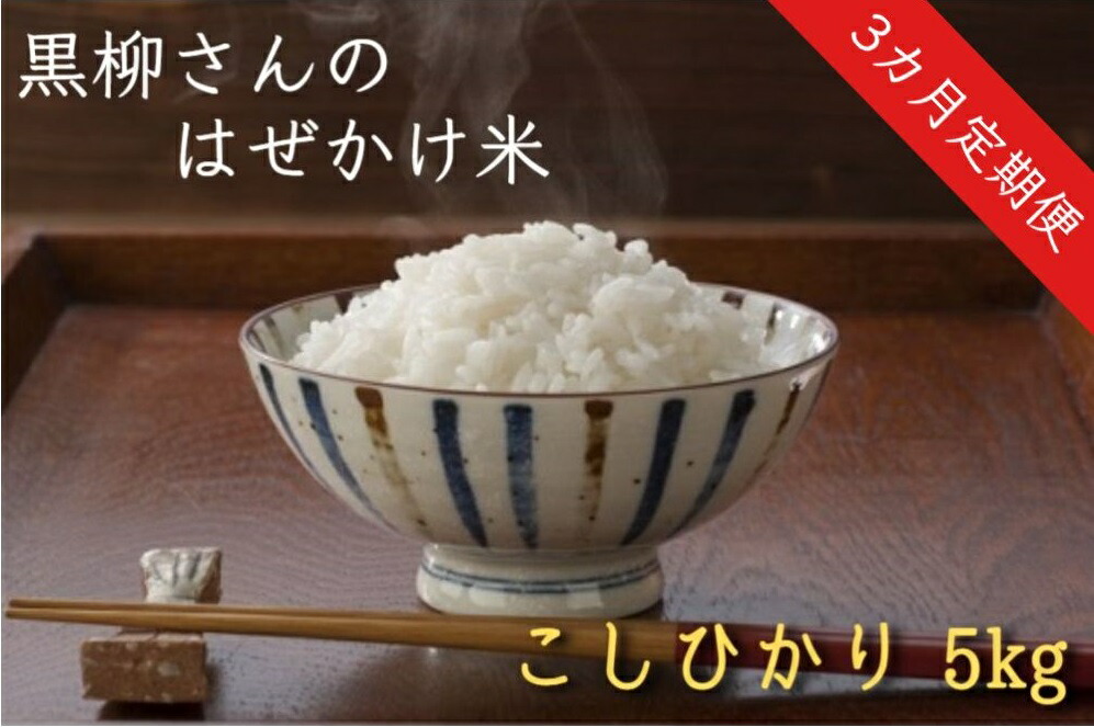 人気商品は 長野県 こしひかり 玄米 10kg 令和3年産 米澤商店 お届け1回 fucoa.cl