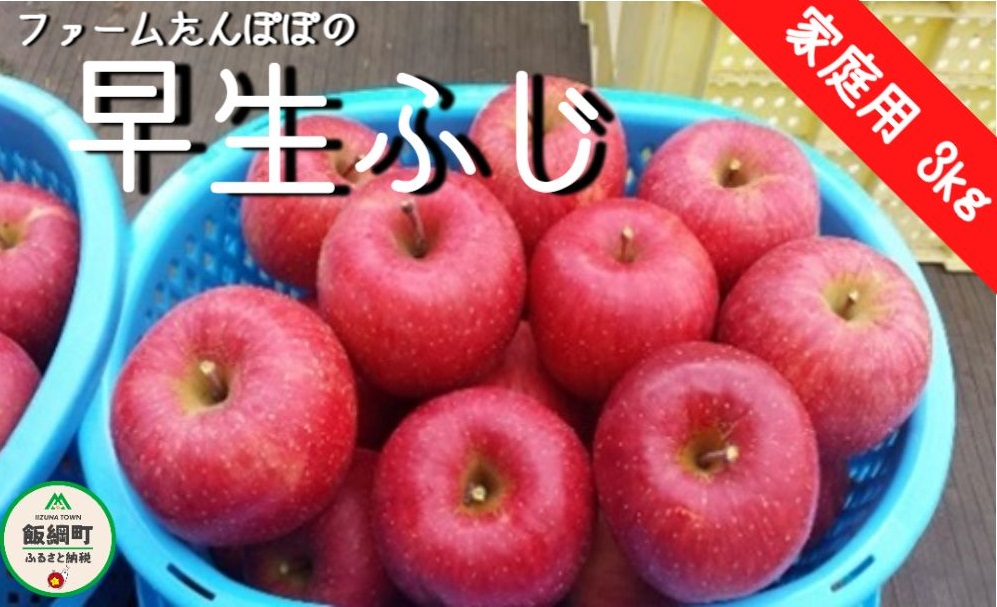 市場 ふるさと納税 令和4年度収穫分 3回 ファーム × 定期便 真っ赤でかわいいりんご 家庭用 3kg