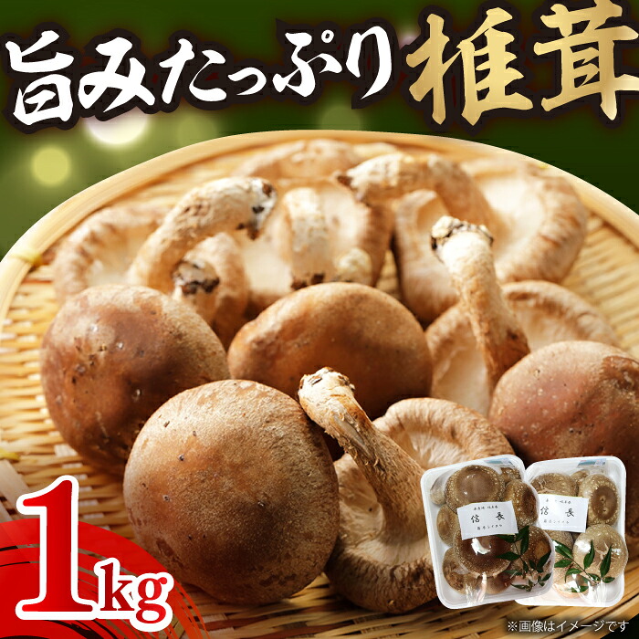 【ふるさと納税】シイタケ1kg 肉厚 ジューシー 椎茸 しいたけ 料理 健康 岐阜県 国産 焼き 乾燥 人気 野菜 きのこ キノコ 食材 具材グルメ たっぷり 鍋 炒め物 煮物 天ぷら バーベキュー BBQ 旨味 うまみ 食物繊維 おかず 菌活 和食 贈答 贈り物 岐阜市/JAぎふ[ANAS006]