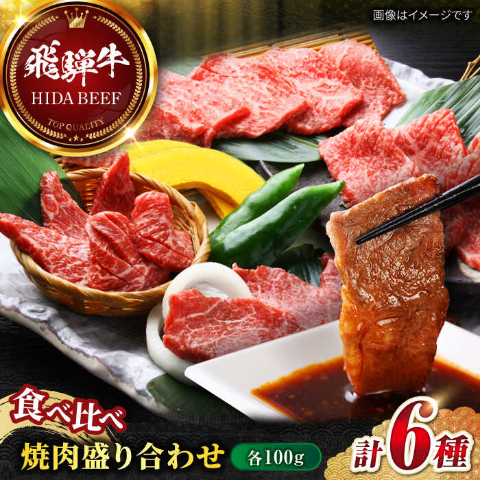 【ふるさと納税】【選べる発送月】【飛騨牛】食べ比べ 焼肉盛り合わせ6種 各100g 和牛 牛肉 飛騨牛 ひだぎゅう 焼肉 やきにく ミスジ イチボ 希少部位 食べ比べ 盛り合わせ 岐阜市/丸福商店 [ANBO027]｜岐阜県岐阜市