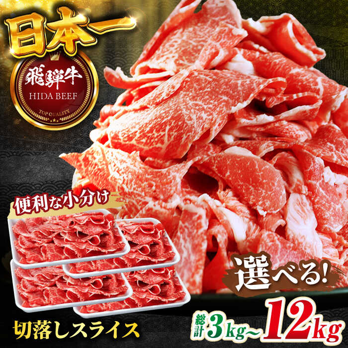 【ふるさと納税】【選べる定期便回数】 飛騨牛 切り落とし 1kg（250g&times;4P）和牛 焼肉 小分け 牛肉 飛騨牛 切り落とし きりおとし 切りおとし 肉 牛肉 和牛 炒め物 牛丼 生姜焼き 小分け 岐阜市 / 丸福商店 [ANBO048][ANBO049][ANBO050]｜岐阜県岐阜市