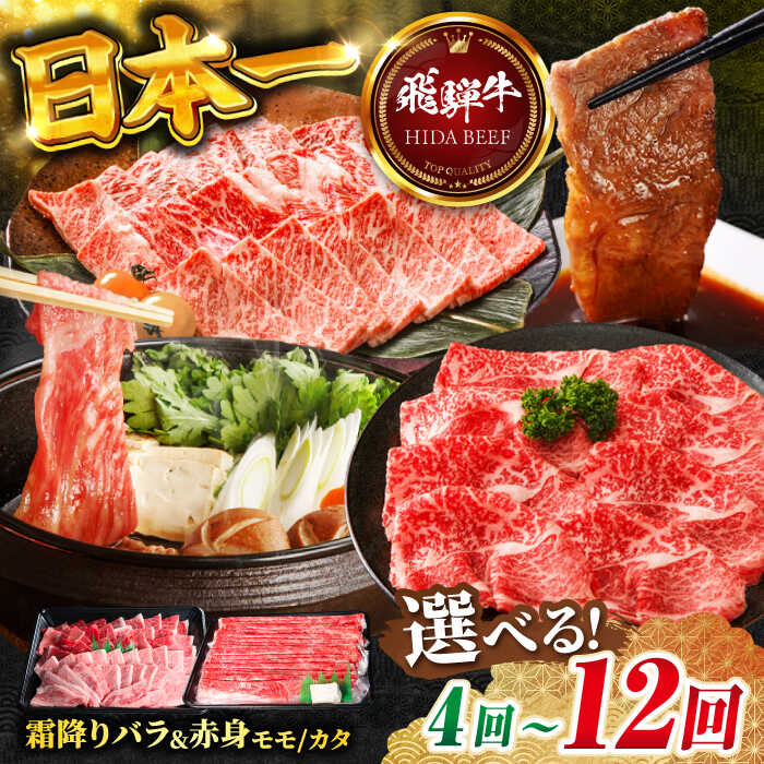【ふるさと納税】【選べる定期便回数】 【交互定期便】 飛騨牛 ■1回目 霜降り バラ 焼肉 500g ■2回目 赤身（ モモ / カタ ）すき焼き しゃぶしゃぶ 国産 牛 肉 飛騨牛 すきやき 赤身 赤身肉 モモ 霜降り 焼肉 焼き肉 やきにく 定期便 岐阜市 / 丸福商店 [ANBO051]｜岐阜県岐阜市