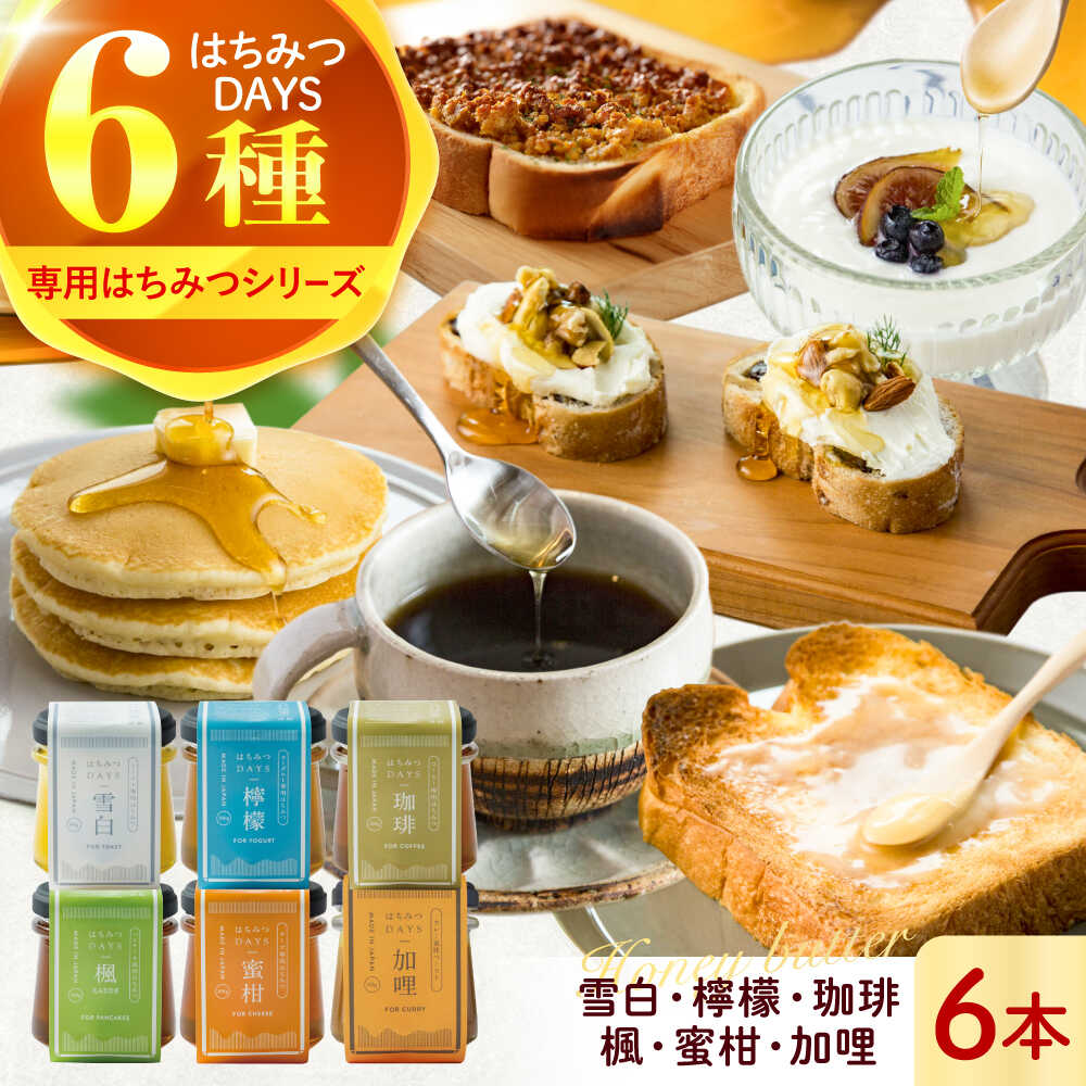 【ふるさと納税】 蜂蜜 はちみつDAYS 6種類セット ハチミツ セット 朝食 蜂蜜 雪白 れもん レモン 檸檬 コーヒー 珈琲 はちみつバター バター パン ぱん トースト ハニー honey 人気 詰め合わせ 食べ比べ ヨーグルト コーヒー トースト ギフト 岐阜市 / 秋田屋本店[ANBT007]｜岐阜県岐阜市