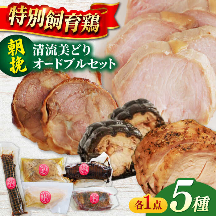 【ふるさと納税】鶏肉 朝挽き 清流美どり オードブルセット 5種 5点 鶏肉 若鶏 お肉 ランチ 人気 詰め合わせ 5種類 ローストチキン 照り焼き 鶏皮 ホテル 旅館 宴会 ごちそう ご馳走 クリスマス ギフト 肉 にく 鳥 鶏 とり肉 オードブル 岐阜市/若鶏の春近[ANDL001]