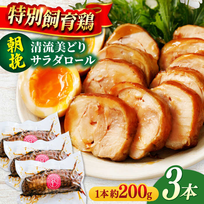 【ふるさと納税】鶏肉 朝挽き 清流美どり チキンロール3本 鶏肉 若鶏 お肉 もも肉 ランチ ディナー おつまみ 人気 3本セット 詰め合わせ 鶏もも肉 伝統の味 秘伝のタレ たまり醤油 冷凍 ごちそう ギフト 肉 にく 鶏 鳥 とり とり肉 取り寄せ 岐阜市/若鶏の春近[ANDL005] 10,500円